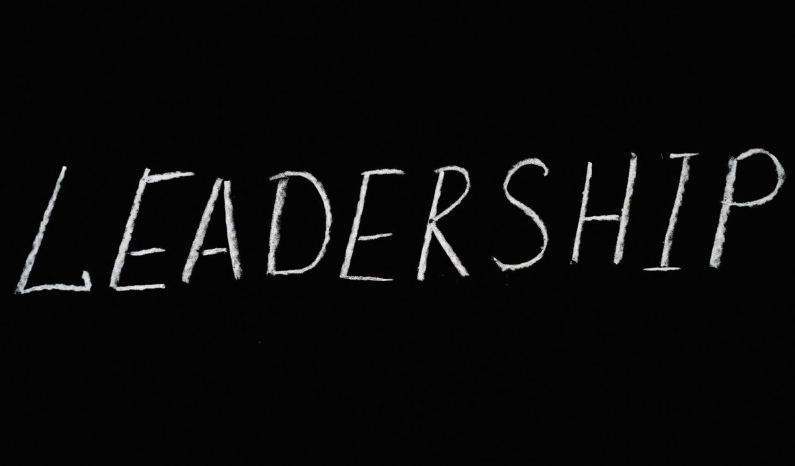 The Benefits of Fractional Leadership for Small and Medium Enterprises